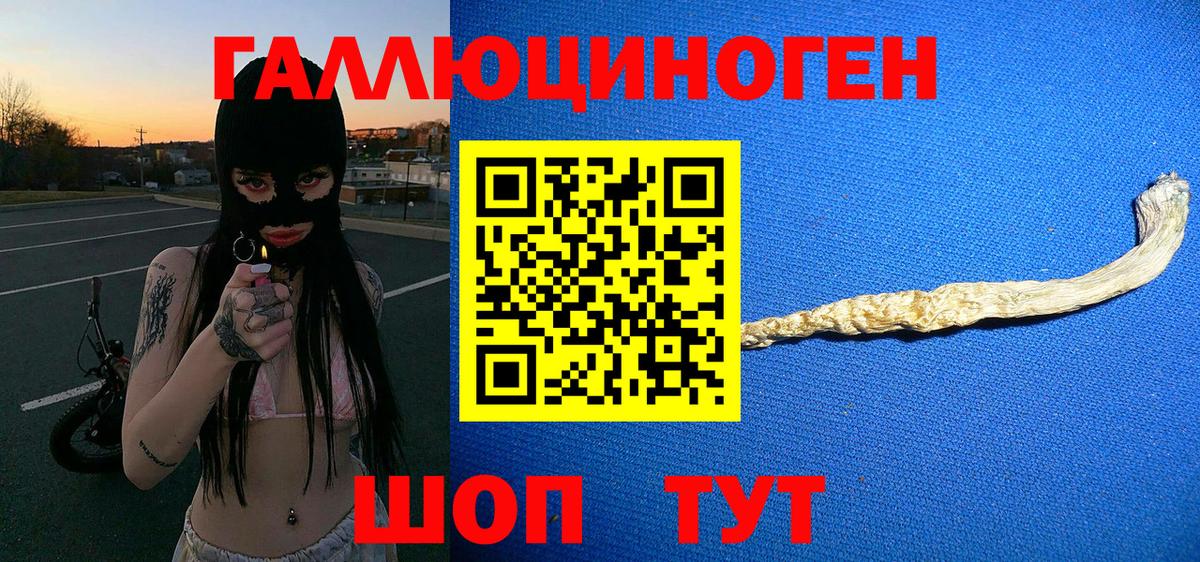 Псилоцибиновые грибы MAGIC MUSHROOMS Кулебаки